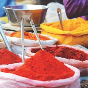 Zellige Feu — modèle 10 — couleur dominante Rouge Riad
